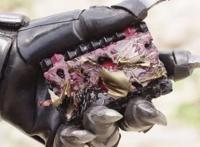 假面骑士圣刃：莲回归主角团，双剑上的围巾暗示天灾已经退场了！