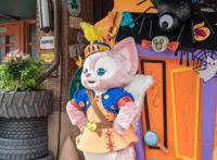 「文旅观察」“玲娜贝儿”出圈，给文旅IP建设带来哪些思考？