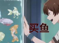 《我开动物园那些年》第3话：段佳泽种族优势初显，买鱼是暗示