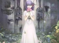 《天之杯：恶兆之花》首支角色预告悬念即将揭晓