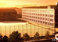 命运之夜—天之杯：恶兆之花，即使看过还愿意去电影院买单