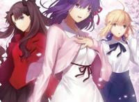 《命运之夜天之杯恶兆之花》“吾王剑之所指，吾等心之所向”