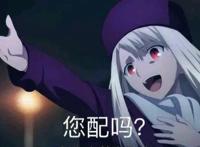 命运之夜——天之杯：恶兆之花，看完剧场版满脑子都是伊莉雅表情