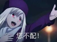 命运之夜——天之杯：恶兆之花，看完剧场版满脑子都是伊莉雅表情