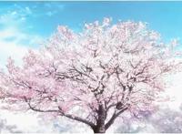 《命运之夜——天之杯：恶兆之花》：在我面前，你可以是“土狼”