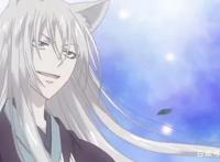 五部跨种族相爱的动漫，元气少女缘结神上榜，你最喜欢哪一部？