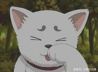 这些可爱的动漫宠物，有你喜欢的吗？