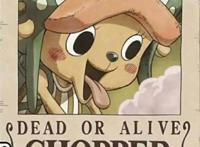 盘点动漫中的萌物，最后一只坑了无数魔法少女！