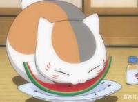 盘点动漫中的萌物，最后一只坑了无数魔法少女！