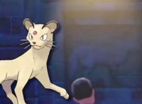 《宝可梦》奇闻趣事：猫老大的壁画，伽勒尔小火马的不同分类！