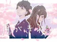 《月色真美》：豆瓣评分9.1，有人称之为初中校园爱情之最