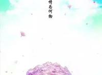 国漫推荐！《狐妖小红娘》这样的国产动画可以再多来几部！