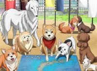 日漫独特而有趣的设定，调侃以前的武将们，这一部集体转生宠物狗