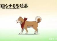 新番点评：武将转生之织田肉桂信长