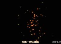 新番点评：武将转生之织田肉桂信长