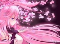 狐耳、猫耳、驴耳傻傻分不清楚，细致分类ACG中的兽耳角色们