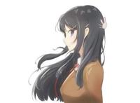 狐耳、猫耳、驴耳傻傻分不清楚，细致分类ACG中的兽耳角色们