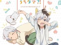 2020年1月新番动漫值得一追的猫耳娘动漫