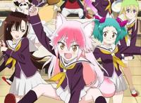 A站买番鬼才！1月又稳了？