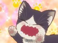 日媒评选，动画中最受欢迎的猫咪是哪只？猫咪老师成功登顶