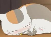 日媒评选，动画中最受欢迎的猫咪是哪只？猫咪老师成功登顶