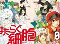 家有圆圆——万物皆可拟人化，一起来看萌系可爱的拟人化动漫盘点