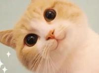 结局团灭的动漫神作盘点，鬼灭、JOJO均上榜，最惨竟是它？