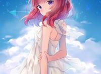 这些动漫妹子，随便娶一个回家就能走向人生巅峰！