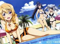 你知道名作之壁吗？日本动画走下坡路的开端，动漫作品《IS》