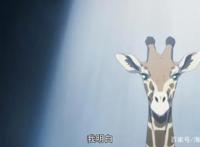 横跨二次元与三次元的故事：少女们的引吭高歌