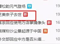 芝美奈子去世，曾参与制作《黑执事》《名侦探柯南》、《棋魂》