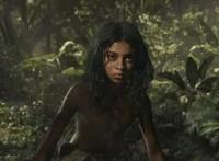 《森林之子毛克利》曝导演特辑卷福蝙蝠侠巨星亲演猛兽