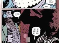 双面：蝙蝠侠布鲁斯韦恩变身成为小丑，双面人成为新的蝙蝠侠