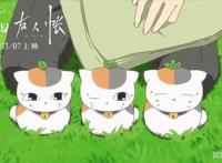 2019年Q1上映6部，日本动画电影在中国会再次爆发吗？