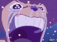 海贼王885集，多弗朗明哥被人暗杀，巨大草帽秘密曝光