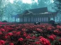 《秦时明月》堪当第一国漫，前无古人后无来者！