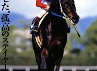 赛马娘粉丝祭拜角色在现实里的墓地，却引起了马迷的反感