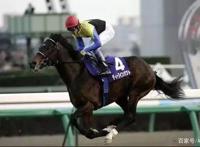 日服吸金效率超过《原神》，《赛马娘》成功的关键何在？