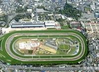 《赛马娘》只能是一款岛国游戏