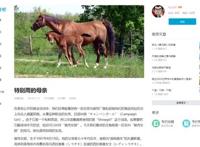 谁能想到一款赛马 娘化的二次元游戏，竟成了日本畅销新王