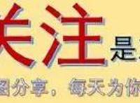 4部初看画风诡异的番，但细看画风惊艳无比，且剧情好到爆炸！