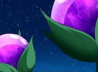 动漫里面的美食也会俘虏你吗？看过的人早已被其中一道菜俘虏啦