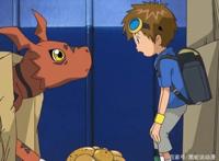 数码宝贝前六部领导力最强的男一排行榜大器屈居第二大门大垫底