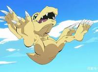 数码宝贝历届平均收视率排行，榜首和吊车尾都在意料之中！