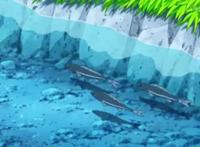 蜡笔小新都市传说：小葵交到新朋友了，结局细思极恐！