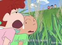 儿时的记忆蜡笔小新第7季终于开播了，每天更新3集