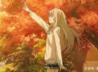 哭惨！不忍再看第二遍的催泪动漫——四月是你的谎言