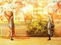 四月是你的谎言：连尾田荣一郎都“嫉妒”的治愈番