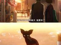 动漫推荐第八弹：《四月是你的谎言》——来世再做友人A