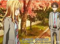 动人的催泪番《四月是你的谎言》，所有的遇见都是最好的安排